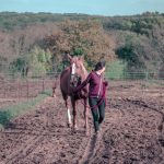 scholae équitation