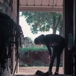 scholae équitation