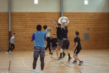 scholae handball